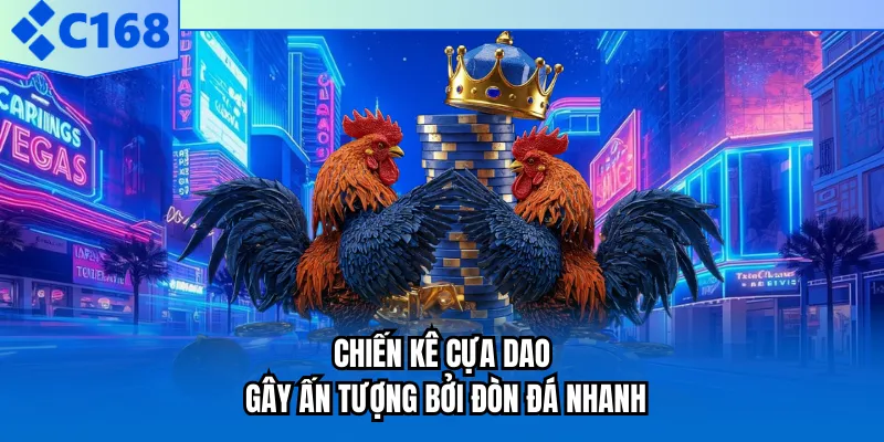 Chiến kê cựa dao gây ấn tượng bởi đòn đá nhanh